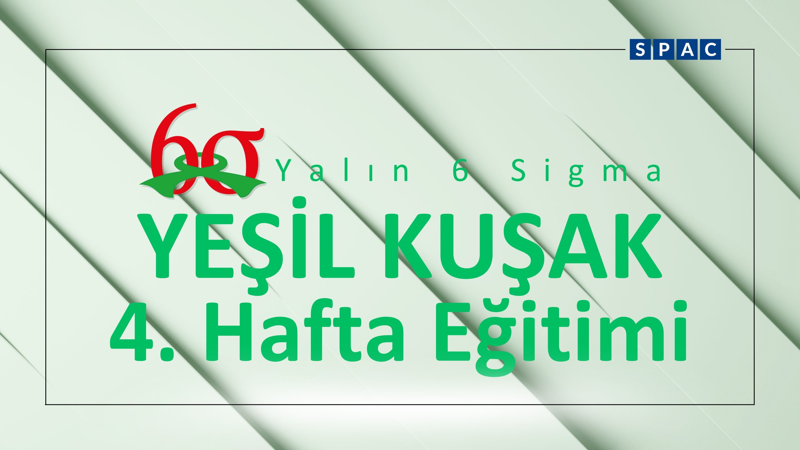 Genel 169(4)
